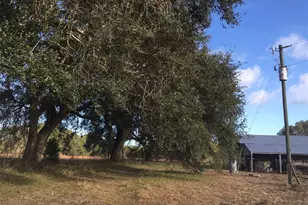 15589 104th St, Live Oak, FL 32060 - Photo 8