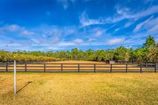 1327 W State Road 40, Pierson, FL 32180 - Photo 36