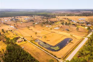 1327 W State Road 40, Pierson, FL 32180 - Photo 54
