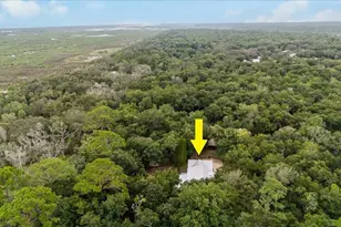 5711 John Anderson Hwy, Flagler Beach, FL 32136 - Photo 48