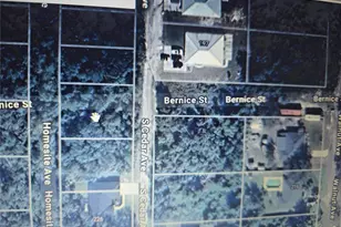 S Cedar Ave, Orange City, FL 32763 - Photo 1