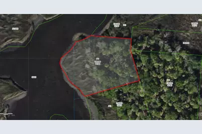 50 Carnahans, Crystal River, FL 34429 - Photo 2