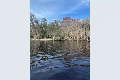 233 Stella Road, Georgetown, FL 32139 - Photo 2