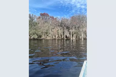 233 Stella Road, Georgetown, FL 32139 - Photo 1