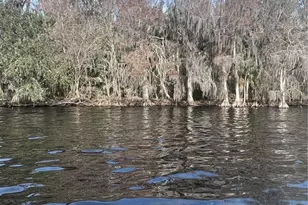 233 Stella Rd, Georgetown, FL 32139 - Photo 1