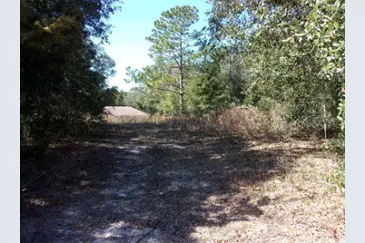 Sw 140th Avenue, Ocala, FL 34481 - Photo 1