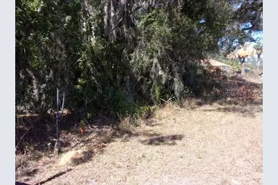 Sw 140th Avenue, Ocala, FL 34481 - Photo 2