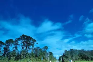 213 Clifton Rd, Crescent City, FL 32112 - Photo 38