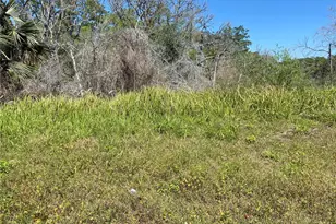 Parcel 27 15 30 00 00 0160, De Leon Springs, FL 32130 - Photo 1