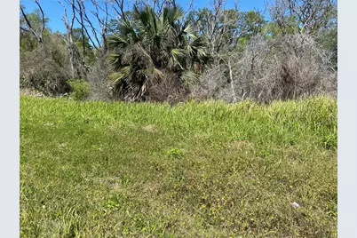 Parcel 27 15 30 00 00 0200, De Leon Springs, FL 32130 - Photo 2