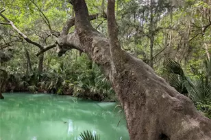 190 Hickory Woods Ct, Deltona, FL 32725 - Photo 36