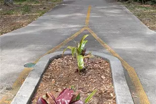 190 Hickory Woods Ct, Deltona, FL 32725 - Photo 30