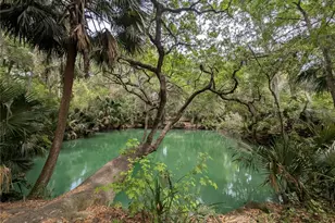 190 Hickory Woods Ct, Deltona, FL 32725 - Photo 34