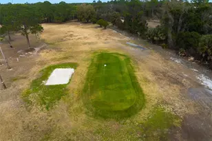 712 Whippoorwill Ln, Osteen, FL 32764 - Photo 50