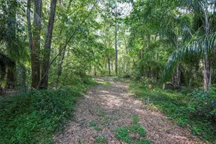 [Address not provided], Apopka, FL 32712 - Photo 24