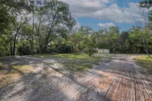 [Address not provided], Apopka, FL 32712 - Photo 16