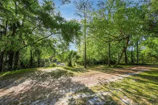 [Address not provided], Apopka, FL 32712 - Photo 32