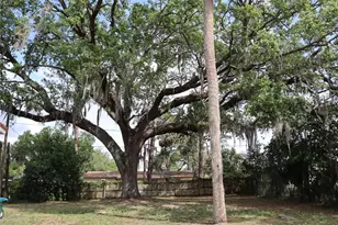 1151 Deltona Blvd, Deltona, FL 32725 - Photo 10