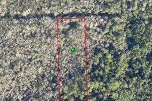 Pine St, Pierson, FL 32180 - Photo 1