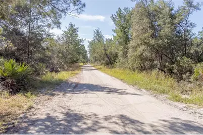 736 Keelhaul Road, Osteen, FL 32764 - Photo 4