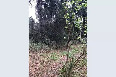 260 Mercers Fernery Road, Deland, FL 32720 - Photo 2