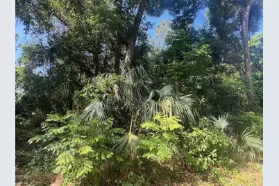 W Taylor Road, Deland, FL 32720 - Photo 8