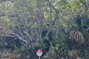 371 Lawler St, Port Charlotte, FL 33954 - Photo 1