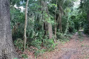 16075 NW 37th Terrace, Reddick, FL 32686 - Photo 4