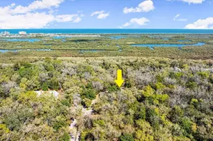 5721 John Anderson Hwy, Flagler Beach, FL 32136 - Photo 48