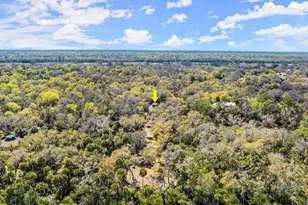 5721 John Anderson Hwy, Flagler Beach, FL 32136 - Photo 46