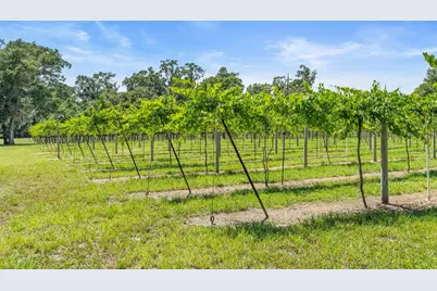 1056 Reynolds Road, De Leon Springs, FL 32130 - Photo 44