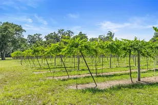 1056 Reynolds Rd, De Leon Springs, FL 32130 - Photo 44