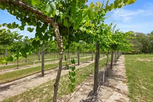 1056 Reynolds Rd, De Leon Springs, FL 32130 - Photo 4