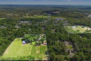 1056 Reynolds Rd, De Leon Springs, FL 32130 - Photo 1