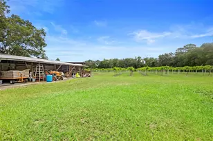 1056 Reynolds Rd, De Leon Springs, FL 32130 - Photo 46