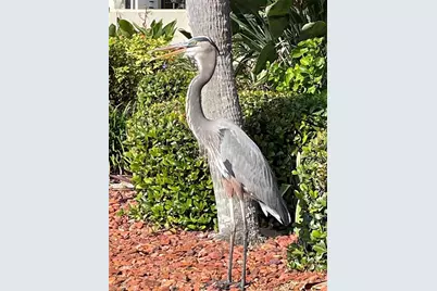 2711 N Halifax Avenue #593, Daytona Beach, FL 32118 - Photo 38