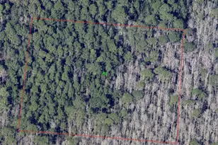 North St, De Leon Springs, FL 32130 - Photo 1