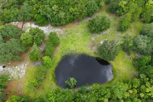 1676 Sunset Trail, Geneva, FL 32732 - Photo 1