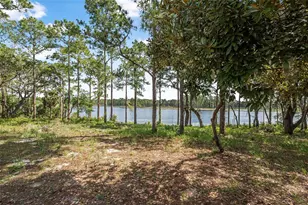 2620 Doyle Rd, Deltona, FL 32738 - Photo 46