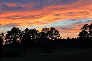 44645 Misty Isle Dr, Deland, FL 32720 - Photo 16