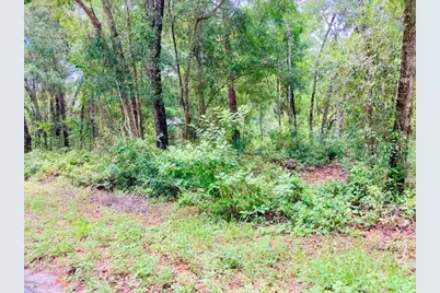 407 Raulerson Road, Seville, FL 32190 - Photo 1