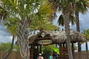 422 Good Life Wy, Daytona Beach, FL 32124 - Photo 62