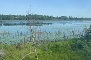 386 Haversham Rd, Deltona, FL 32725 - Photo 20