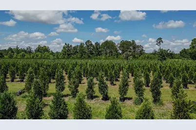 [Address not provided], White Springs, FL 32096 - Photo 18