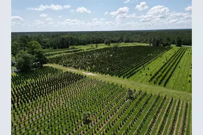 [Address not provided], White Springs, FL 32096 - Photo 26