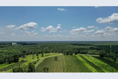 [Address not provided], White Springs, FL 32096 - Photo 10