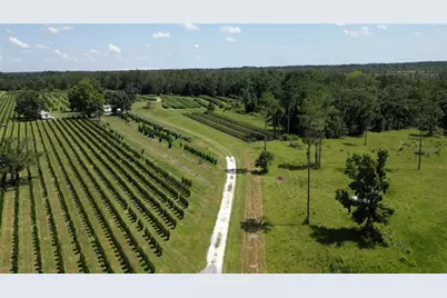 [Address not provided], White Springs, FL 32096 - Photo 14