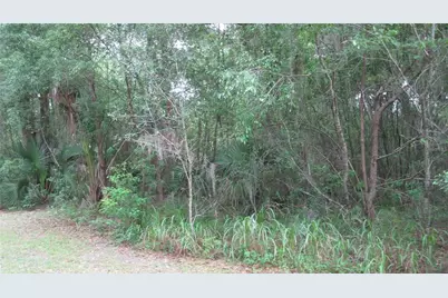 Oak Valley Drive, Deland, FL 32720 - Photo 1