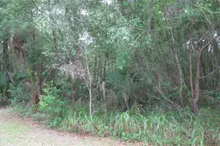 Oak Valley Dr, Deland, FL 32720 - Photo 1