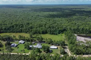 22040 Blue Creek Lodge Rd, Astor, FL 32102 - Photo 40